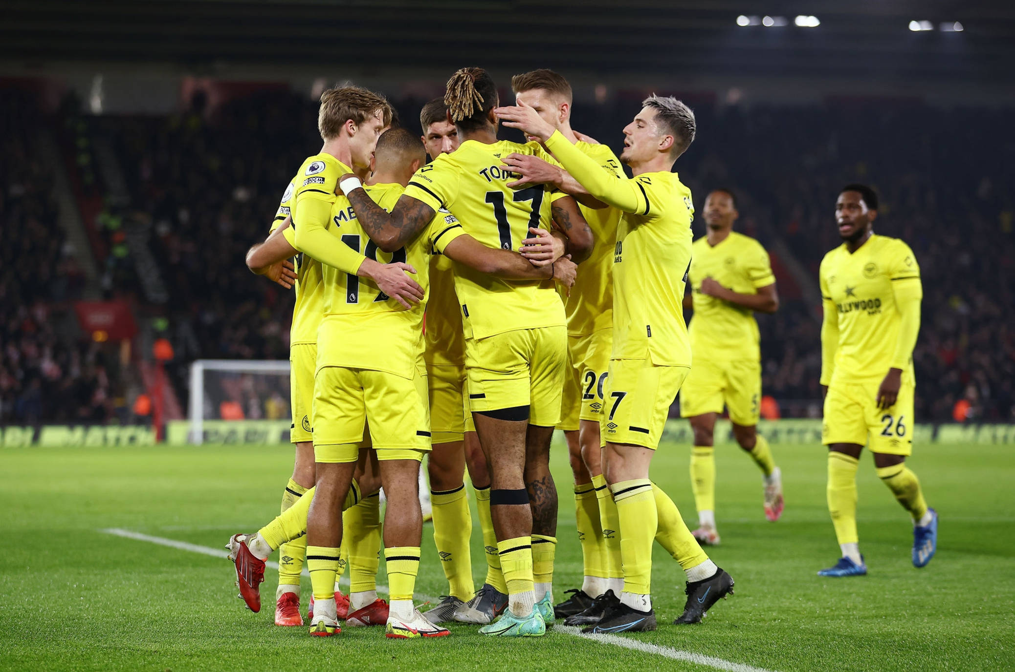 己在世界舞 己在世界舞